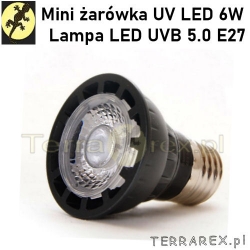 Mini UV LED 6W, Lampa LED UVB 5.0 E27 Repti Zoo